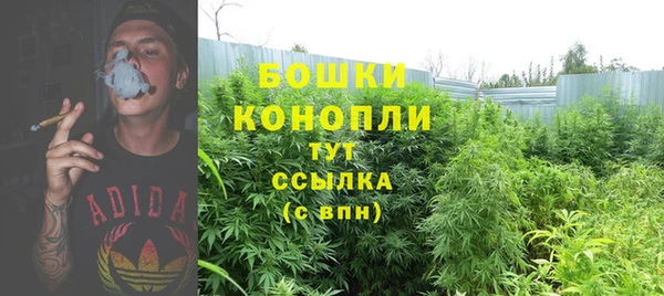 COCAINE Белокуриха