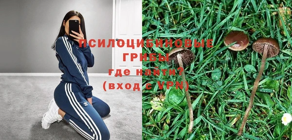COCAINE Белокуриха