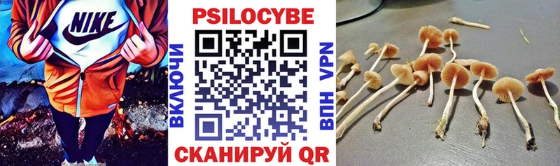 Галлюциногенные грибы GOLDEN TEACHER  Купить закладки  Пудож 